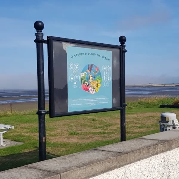 Deele Display Case - Featured Image