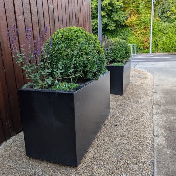 PXL_20240820_083744535.MP