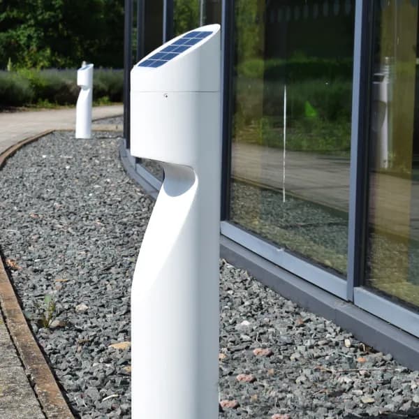 Eccentrica White close daytime