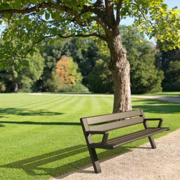 dodder_2.3 Camera copy