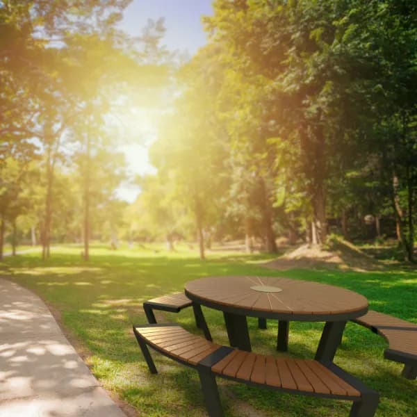 dodder_round_4K_near_path_PROCESSED