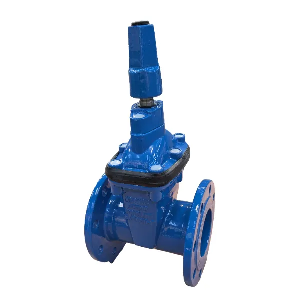 Sluice Valve ISO copy